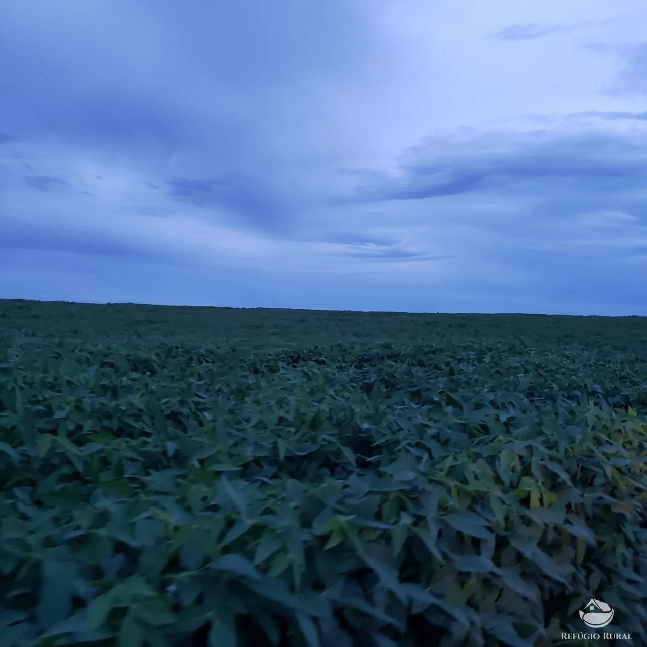Fazenda à venda de 3.771 ha em Rosário Oeste, MT, Brasil