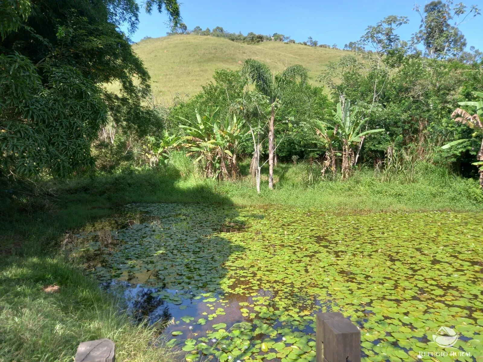 Chácara à venda de 4 ha em São José dos Campos, SP, Brasil