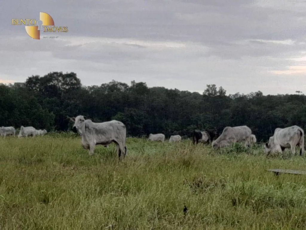 Fazenda à venda de 325 ha em Rosário Oeste, MT, Brasil