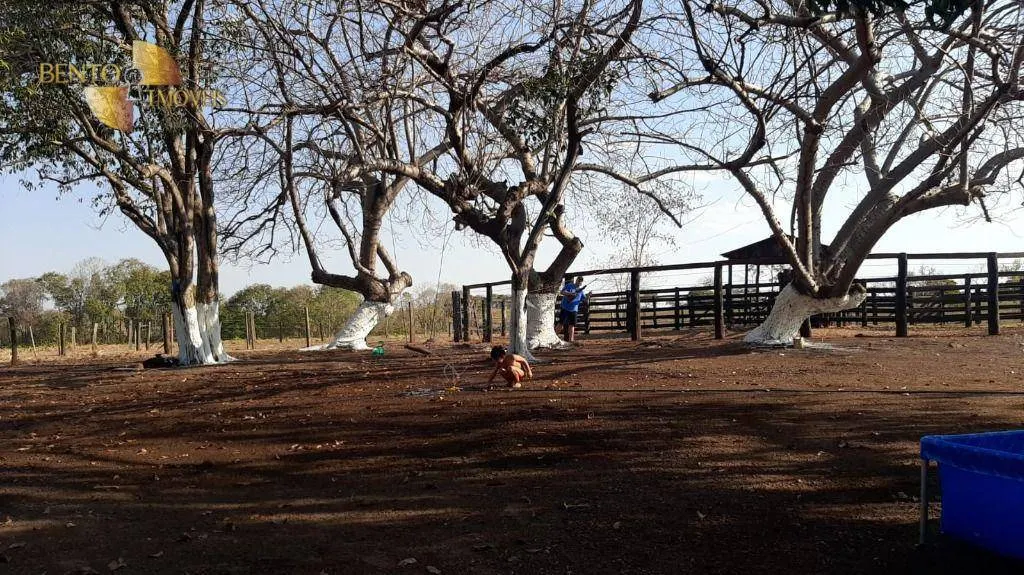 Fazenda à venda de 325 ha em Rosário Oeste, MT, Brasil