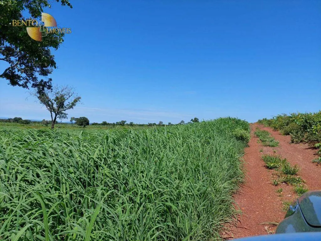 Fazenda à venda de 325 ha em Rosário Oeste, MT, Brasil