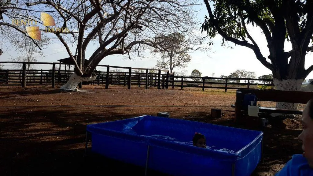 Fazenda à venda de 325 ha em Rosário Oeste, MT, Brasil