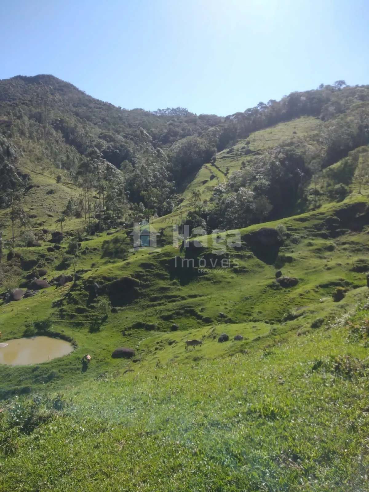 Fazenda à venda de 70 ha em Major Gercino, SC, Brasil