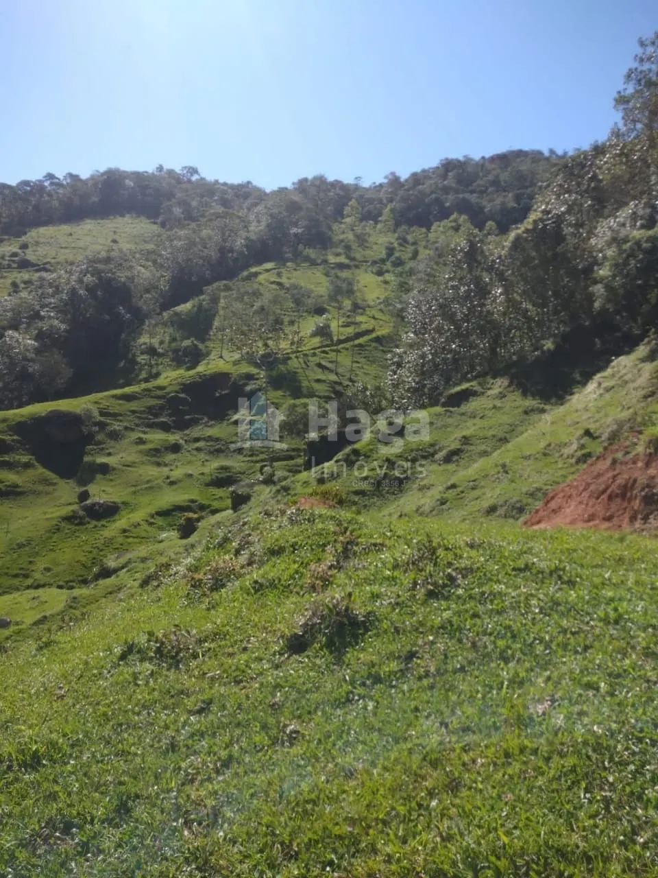 Fazenda à venda de 70 ha em Major Gercino, SC, Brasil