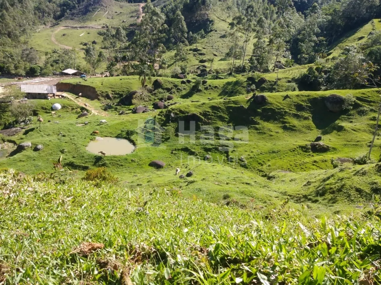 Fazenda à venda de 70 ha em Major Gercino, SC, Brasil