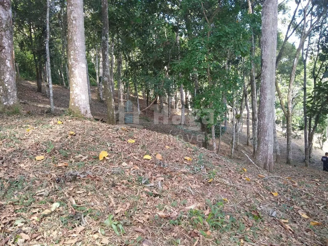 Country home for sale of 4 acres in Itajaí, SC, Brazil