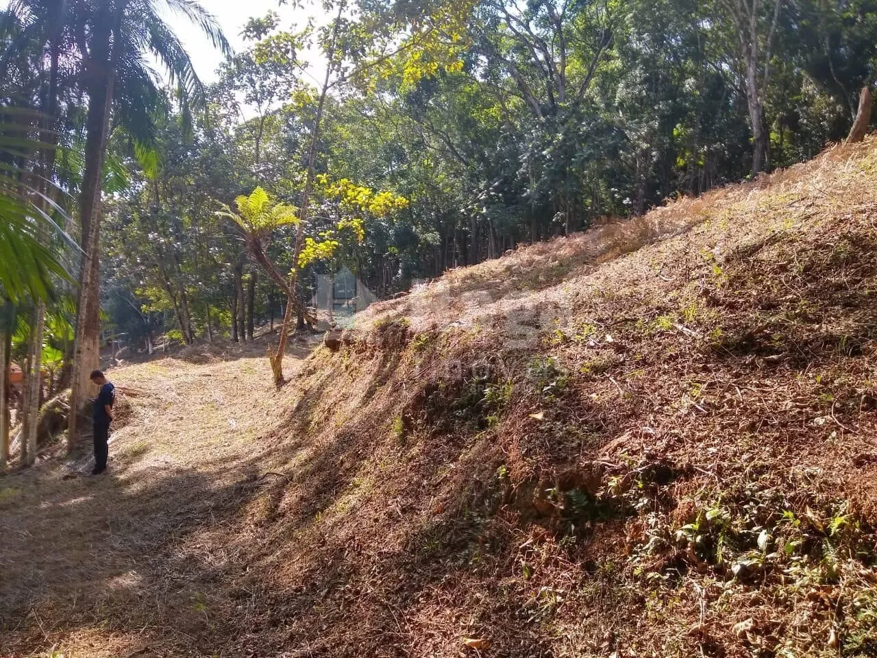 Country home for sale of 4 acres in Itajaí, SC, Brazil