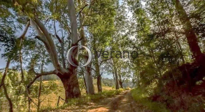 Fazenda à venda de 131 ha em Morungaba, SP, Brasil