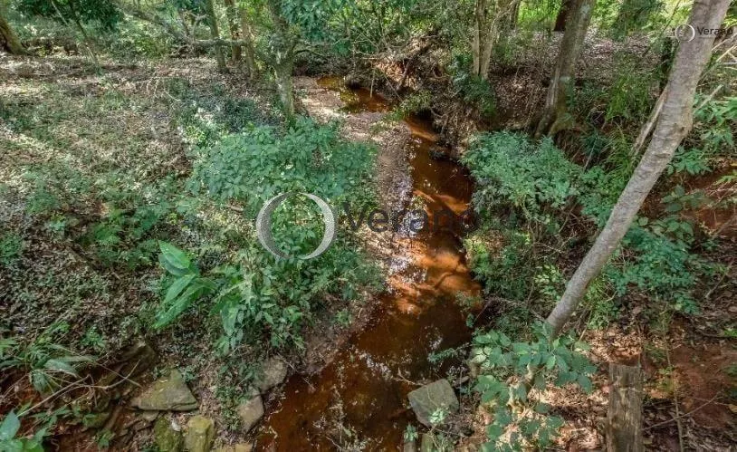 Fazenda à venda de 131 ha em Morungaba, SP, Brasil