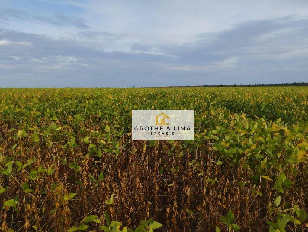 Fazenda à venda de 653 ha em Palmas, TO, Brasil