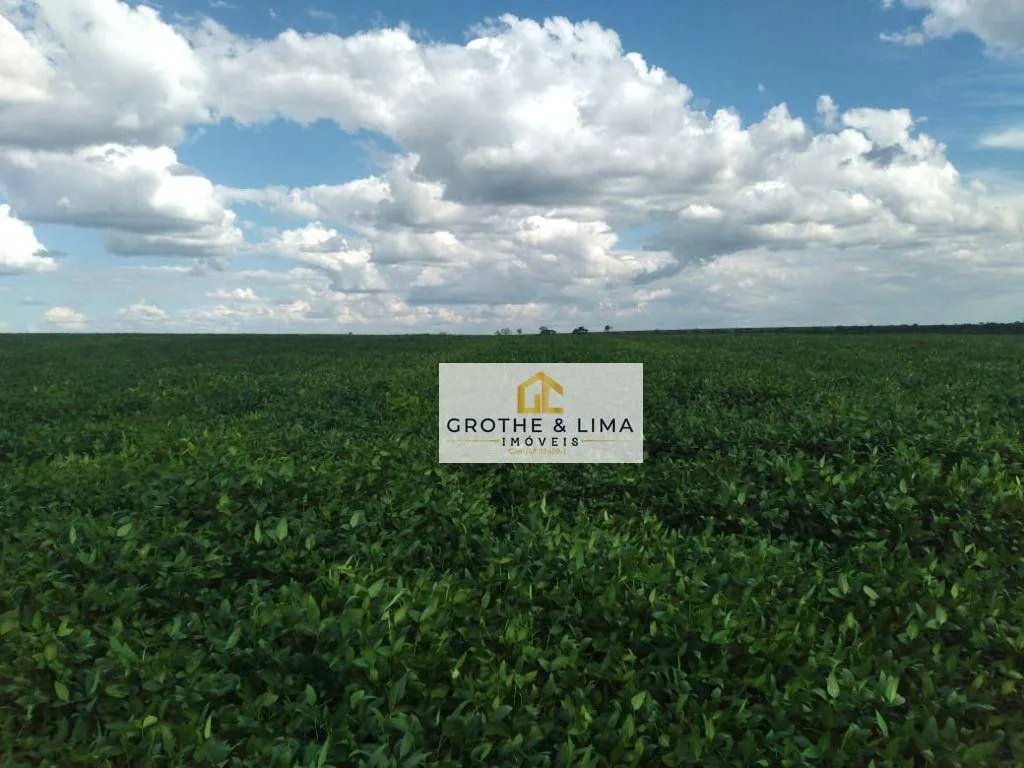 Fazenda à venda de 653 ha em Palmas, TO, Brasil