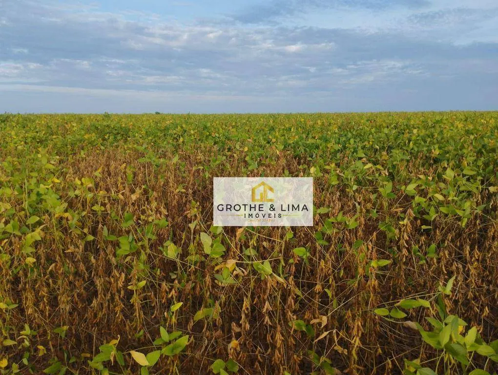 Fazenda à venda de 653 ha em Palmas, TO, Brasil