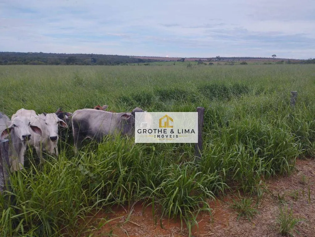 Fazenda à venda de 653 ha em Palmas, TO, Brasil