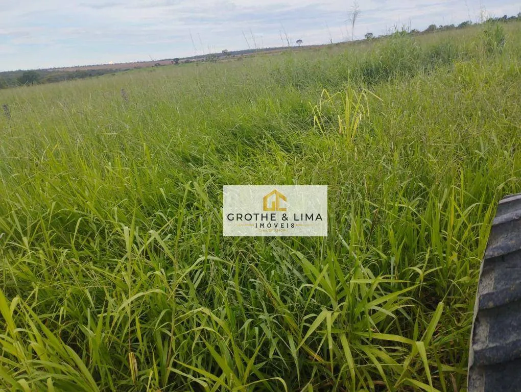 Fazenda à venda de 653 ha em Palmas, TO, Brasil