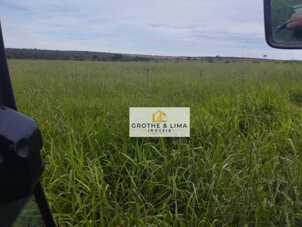Fazenda à venda de 653 ha em Palmas, TO, Brasil