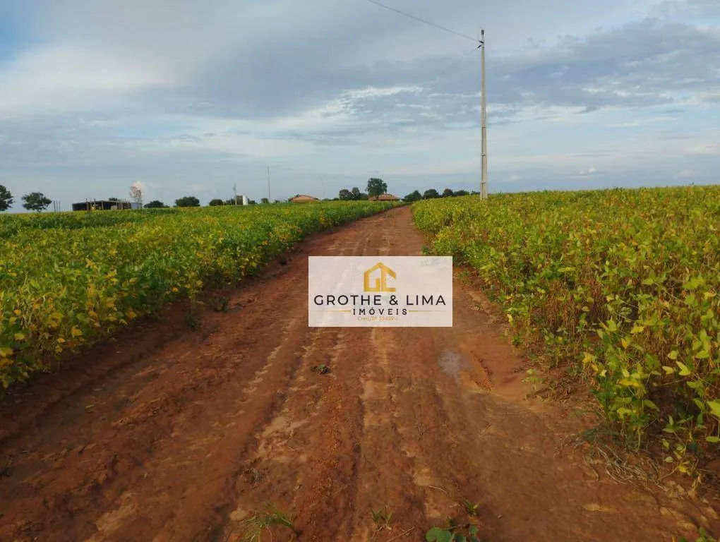 Fazenda à venda de 653 ha em Palmas, TO, Brasil