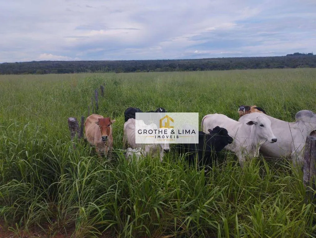 Fazenda à venda de 653 ha em Palmas, TO, Brasil