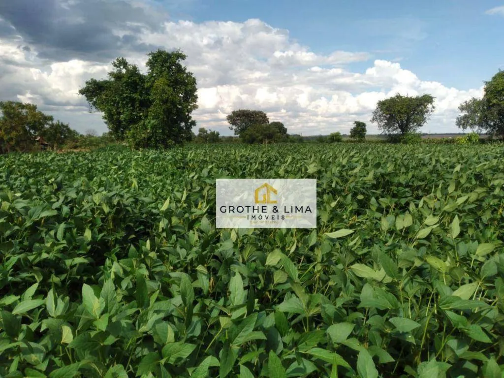 Fazenda à venda de 653 ha em Palmas, TO, Brasil
