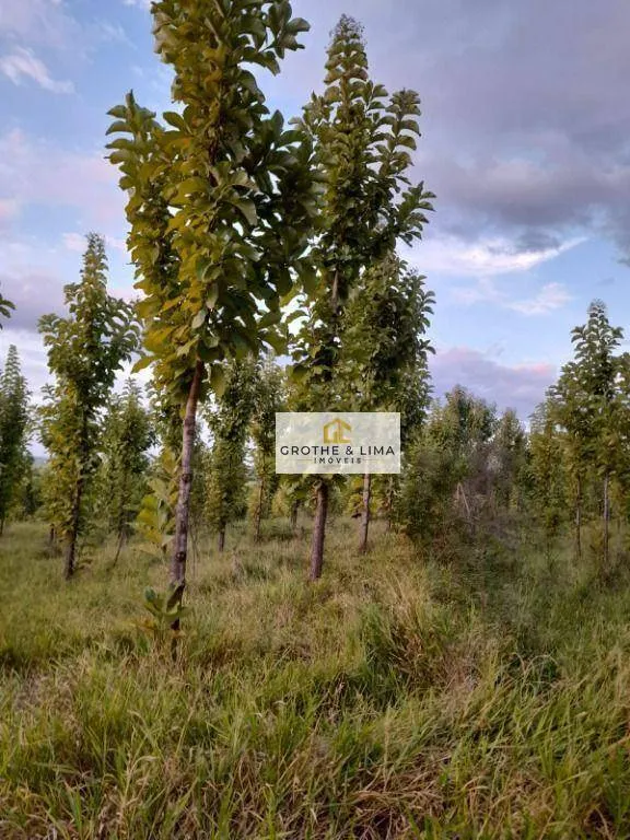 Fazenda à venda de 57 ha em Ribeirão Bonito, SP, Brasil