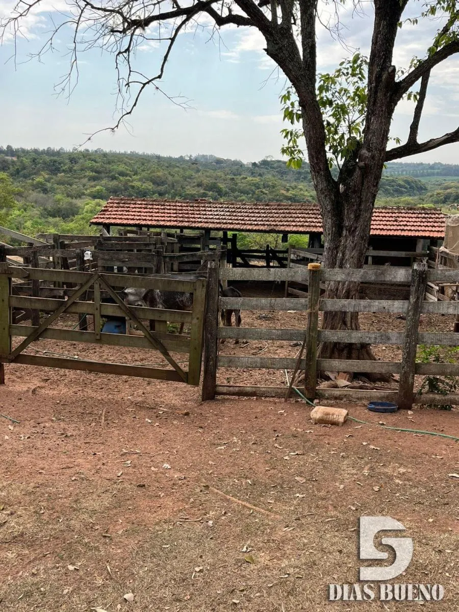 Sítio à venda de 16 ha em Duartina, SP, Brasil
