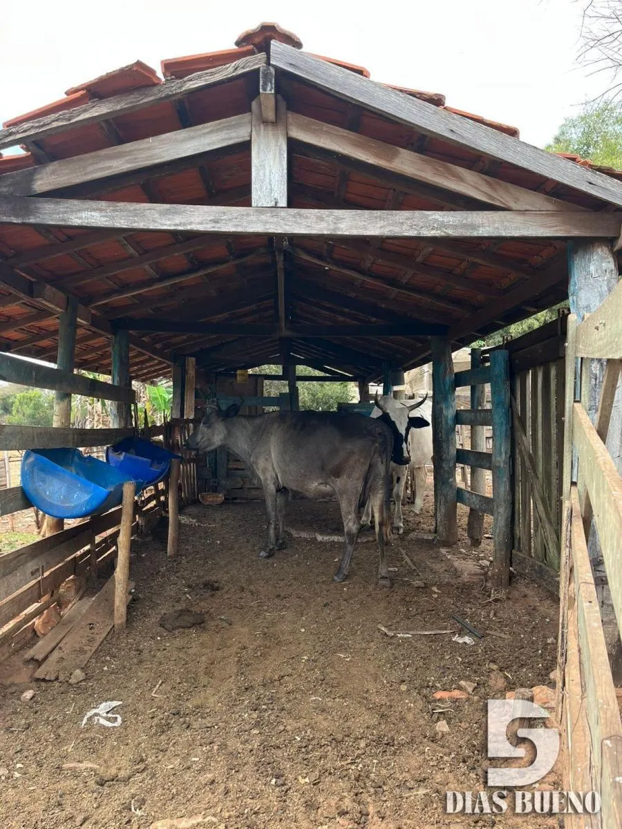 Sítio à venda de 16 ha em Duartina, SP, Brasil