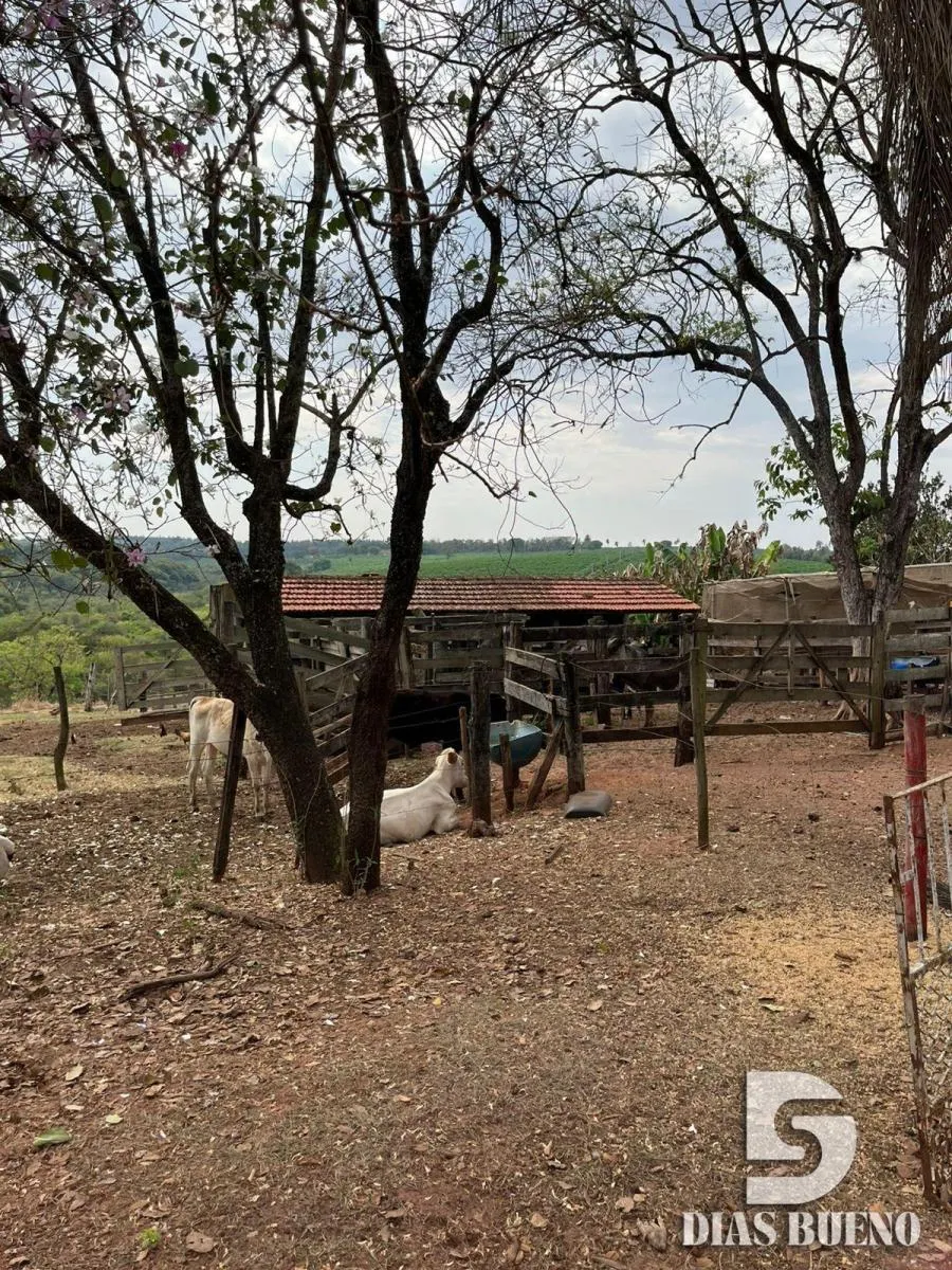 Sítio à venda de 16 ha em Duartina, SP, Brasil