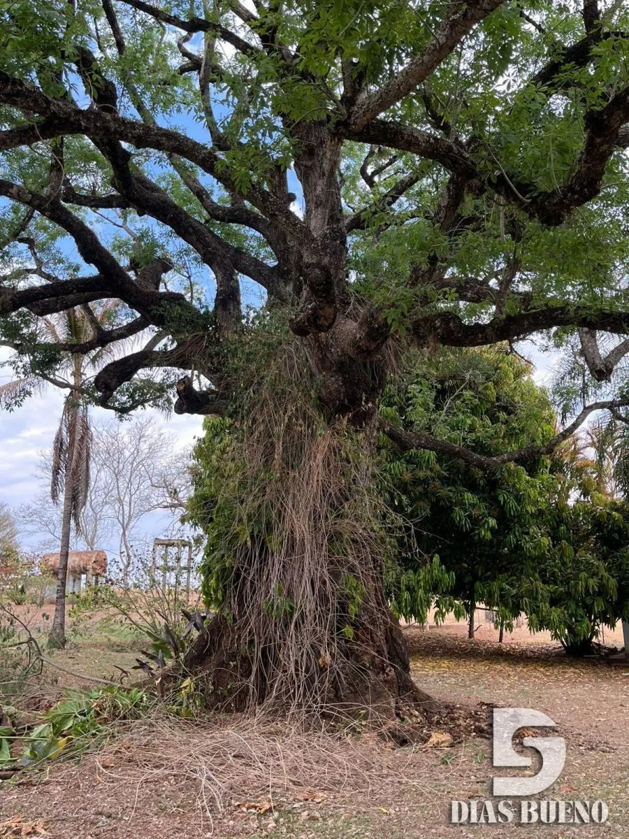 Sítio à venda de 16 ha em Duartina, SP, Brasil