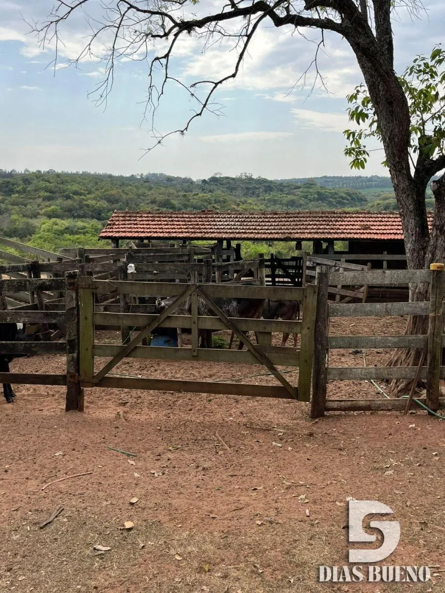 Sítio à venda de 16 ha em Duartina, SP, Brasil