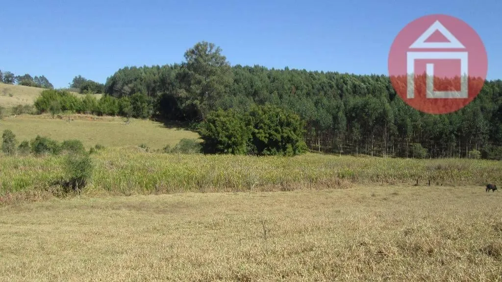 Fazenda à venda de 90 ha em Bragança Paulista, SP, Brasil