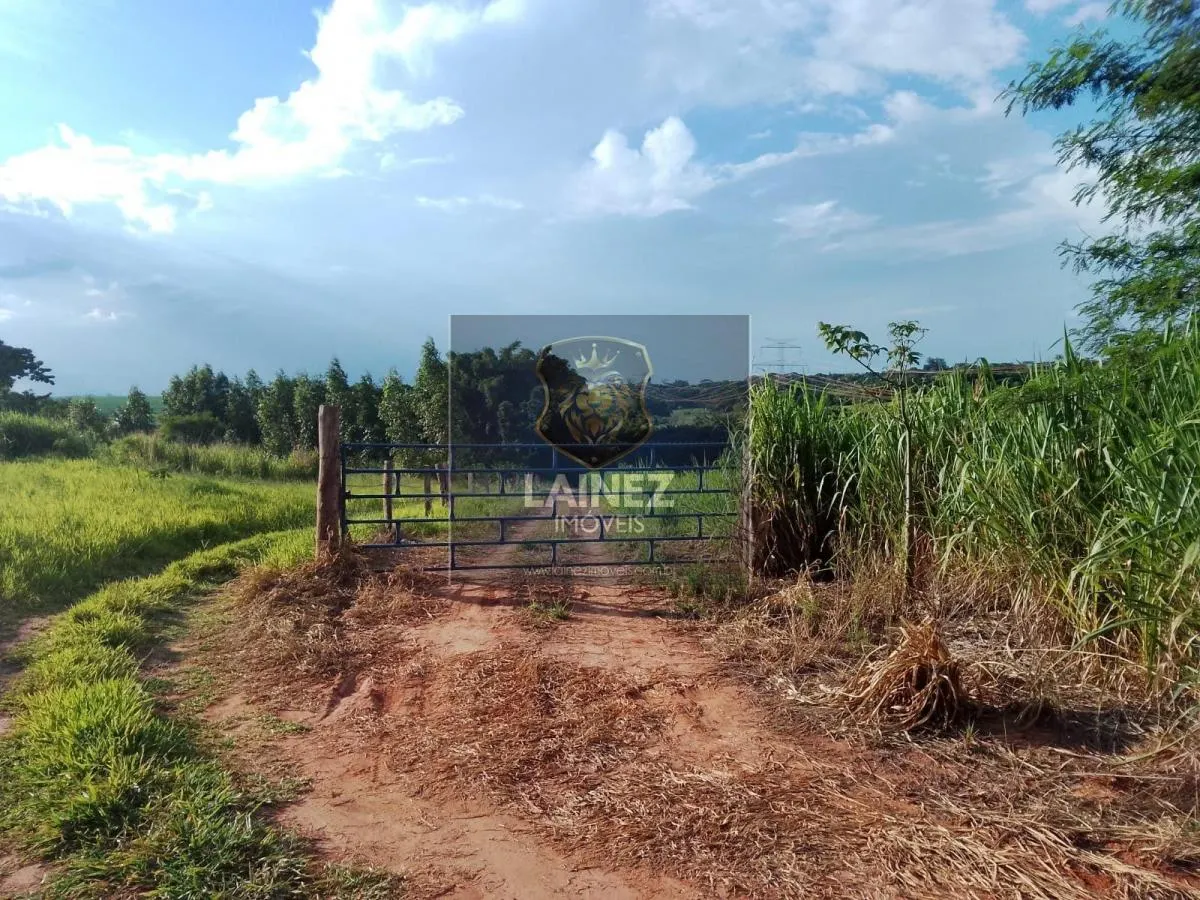 Country home for sale of 6 acres in Catanduva, SP, Brazil