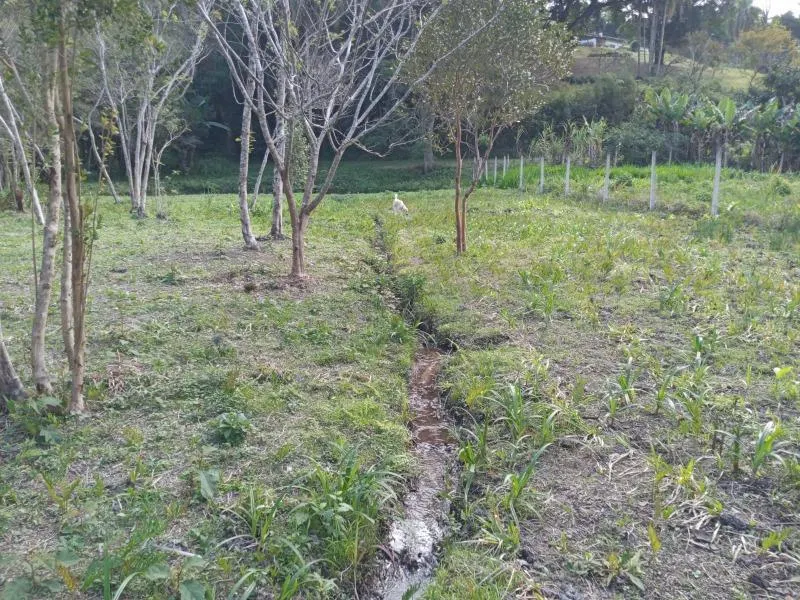 Sítio à venda de 6 ha em Itapecerica da Serra, SP, Brasil