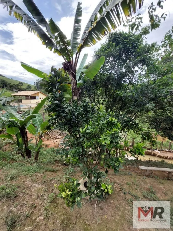 Chácara à venda de 2.400 m² em Pouso Alegre, MG, Brasil