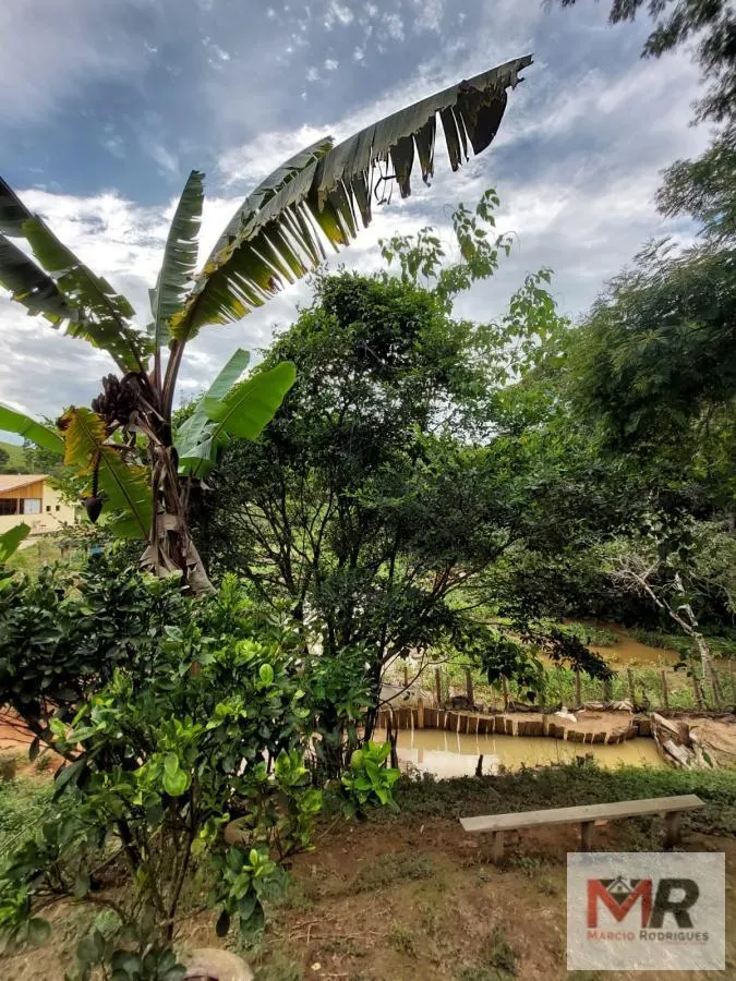 Chácara à venda de 2.400 m² em Pouso Alegre, MG, Brasil