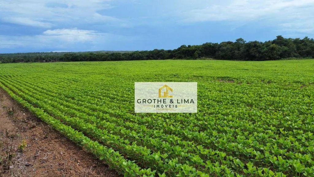 Farm for sale of 1,730 acres in Gurupi, TO, Brazil