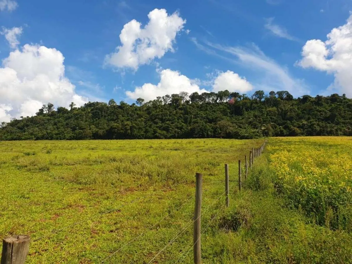 Fazenda à venda de 285 ha em Cássia dos Coqueiros, SP, Brasil