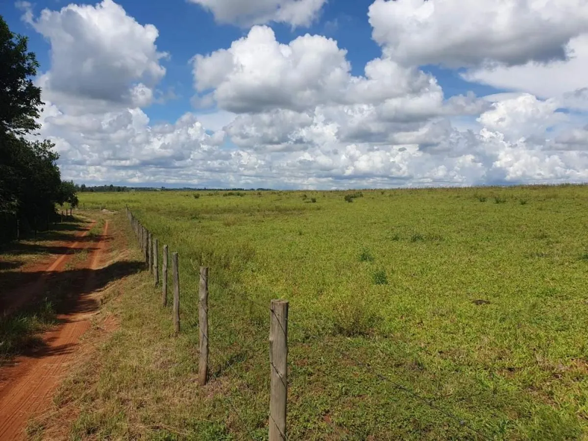 Fazenda à venda de 285 ha em Cássia dos Coqueiros, SP, Brasil