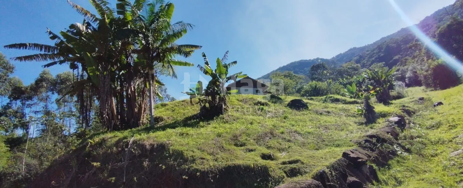 Chácara à venda de 2.000 m² em Nova Trento, SC, Brasil