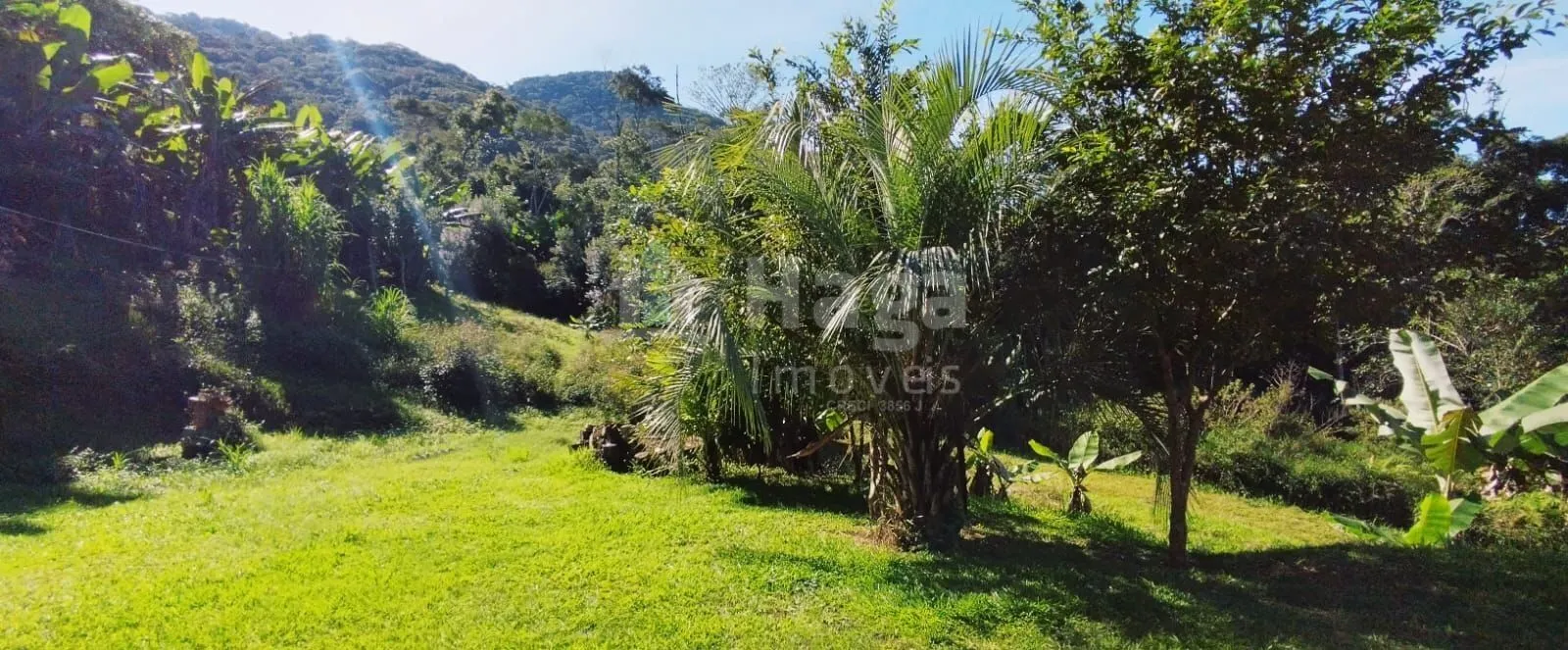 Chácara à venda de 2.000 m² em Nova Trento, SC, Brasil