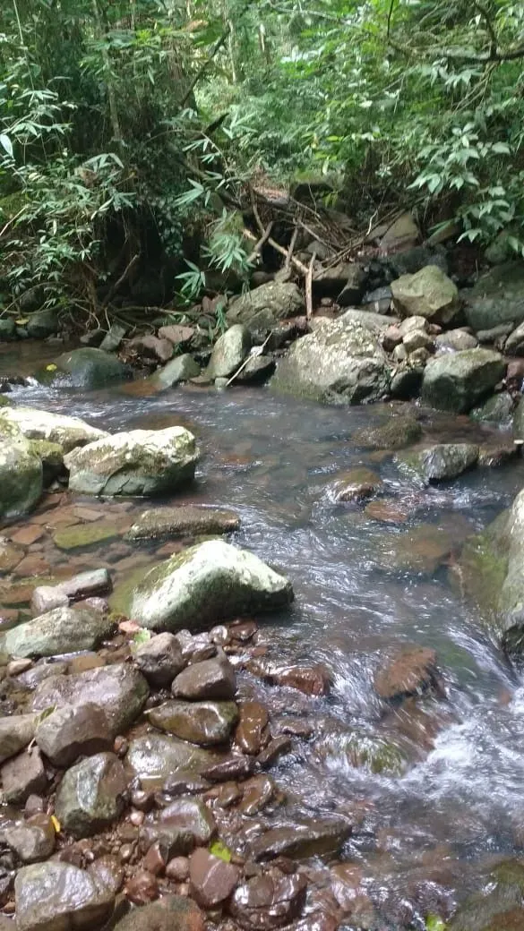 Chácara à venda de 1 ha em Três Cachoeiras, RS, Brasil