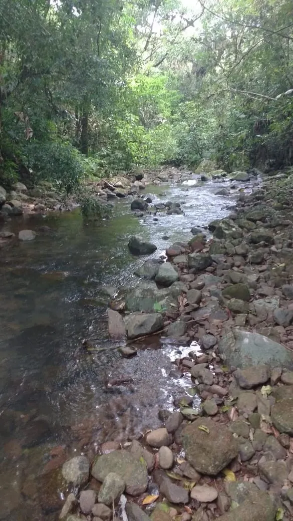 Chácara à venda de 1 ha em Três Cachoeiras, RS, Brasil