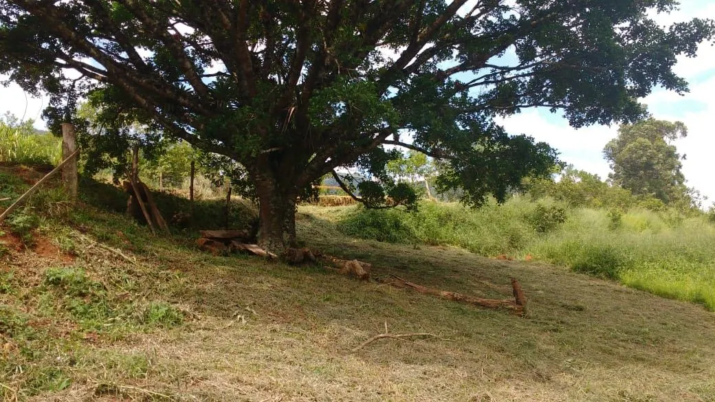 Chácara à venda de 1 ha em Três Cachoeiras, RS, Brasil
