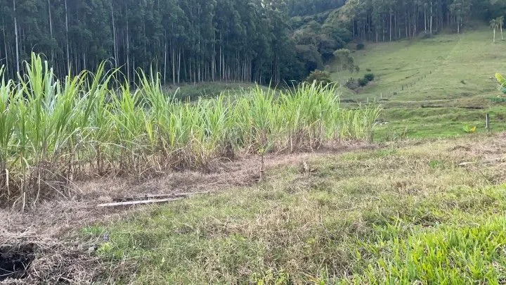Country home for sale of 3 acres in Rolante, RS, Brazil