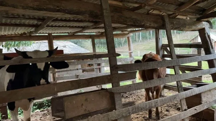 Country home for sale of 3 acres in Rolante, RS, Brazil