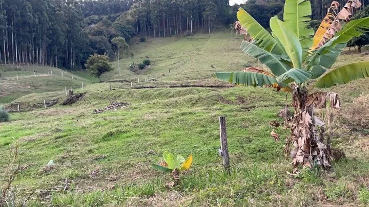 Country home for sale of 3 acres in Rolante, RS, Brazil
