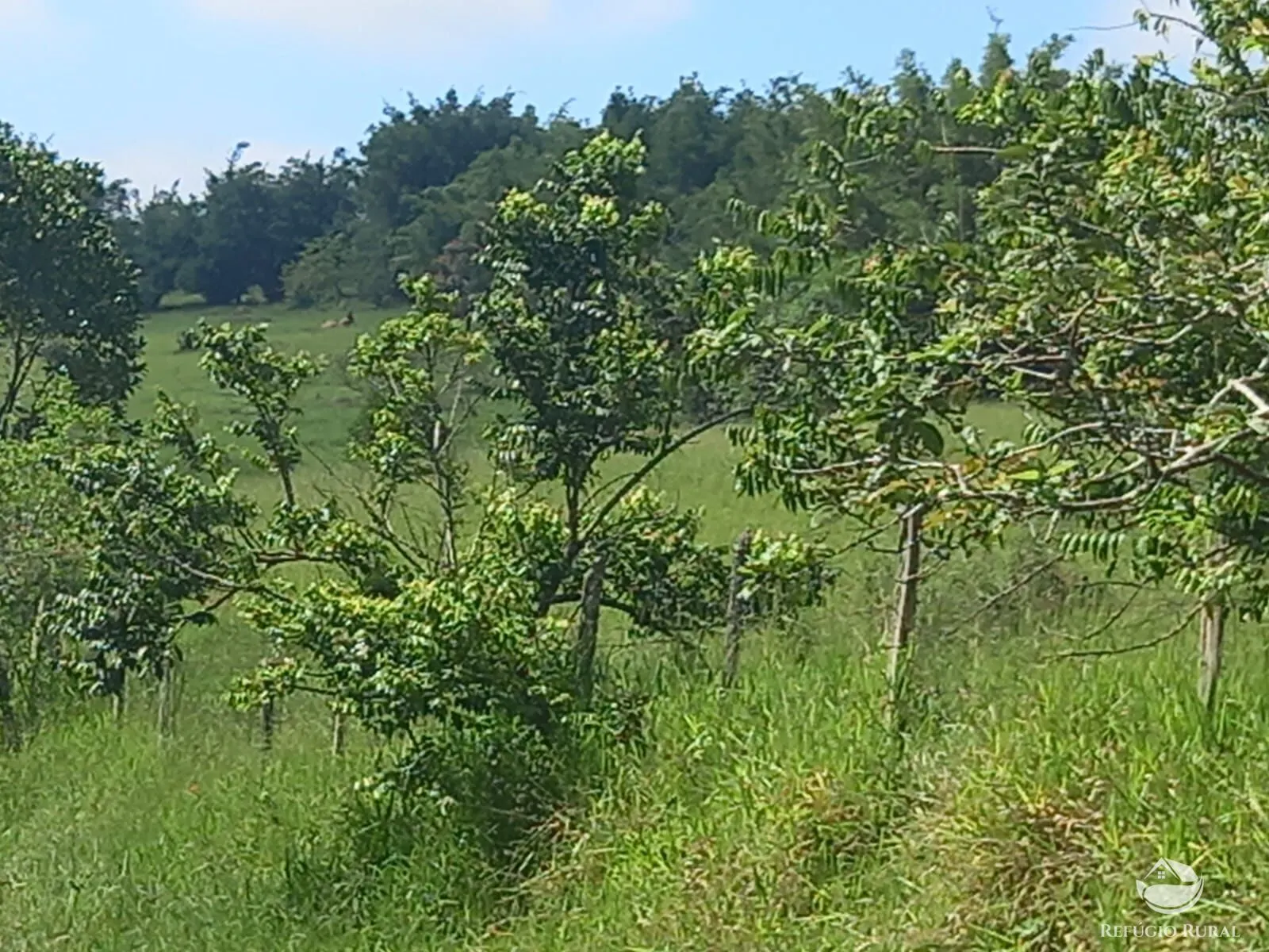 Fazenda à venda de 271 ha em São José dos Campos, SP, Brasil