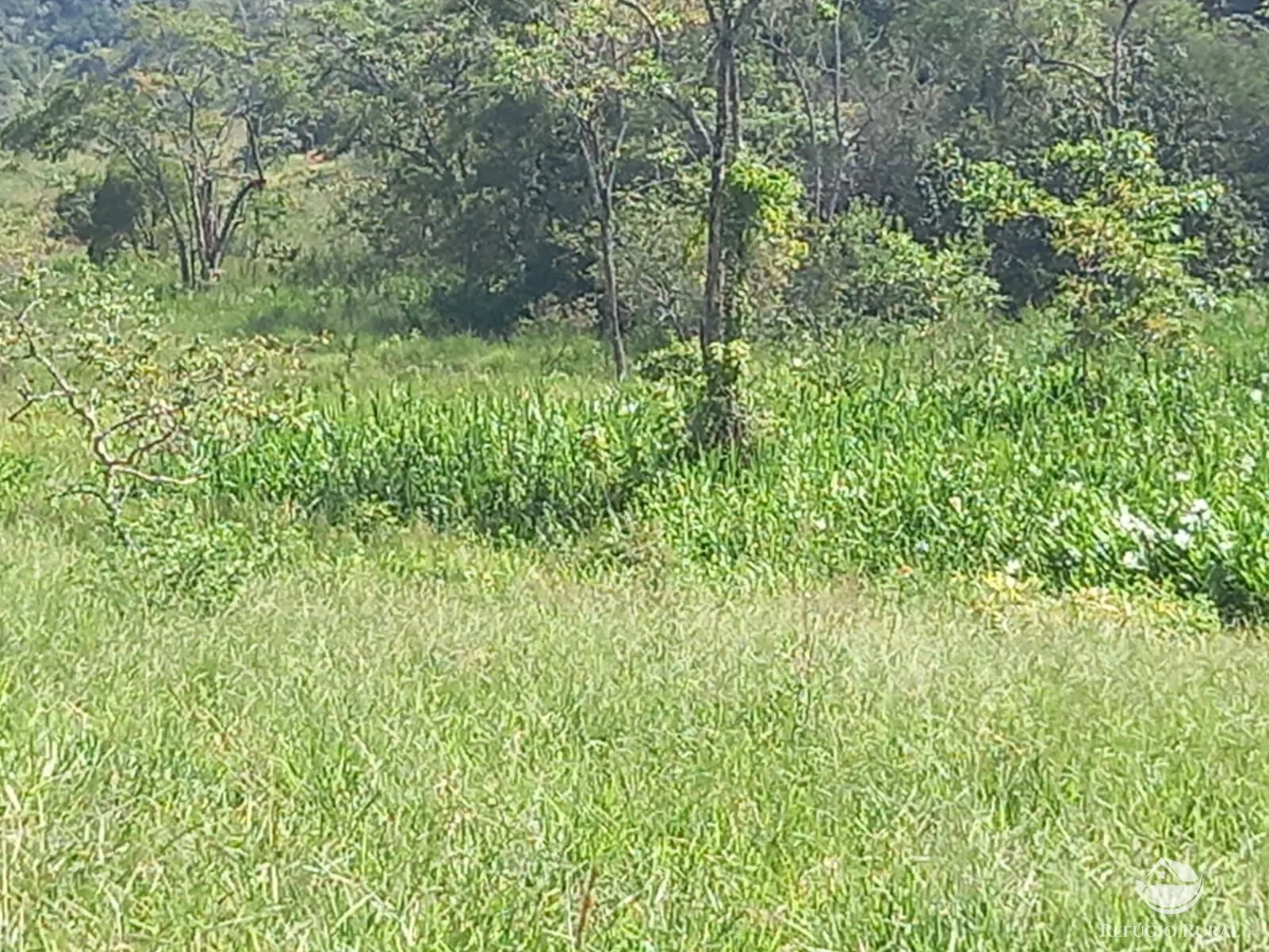 Fazenda à venda de 271 ha em São José dos Campos, SP, Brasil