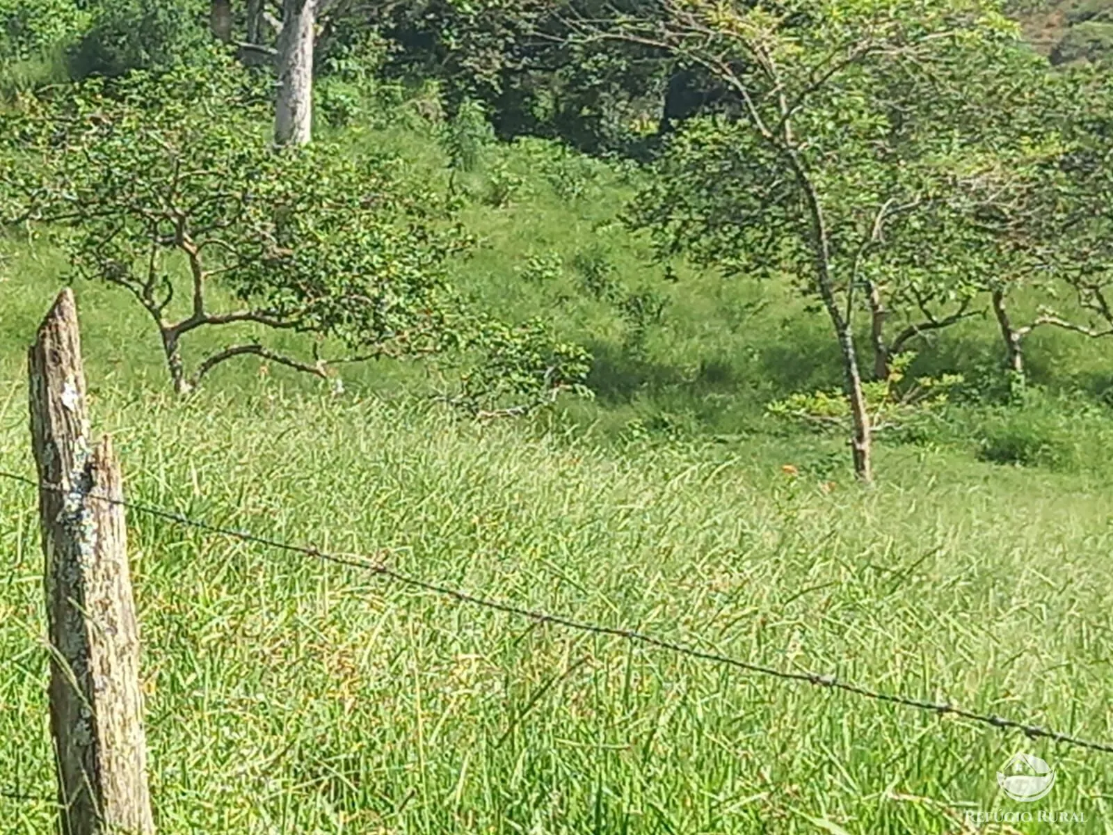 Fazenda à venda de 271 ha em São José dos Campos, SP, Brasil