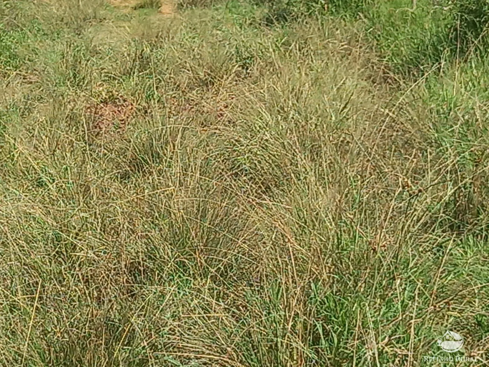 Fazenda à venda de 271 ha em São José dos Campos, SP, Brasil