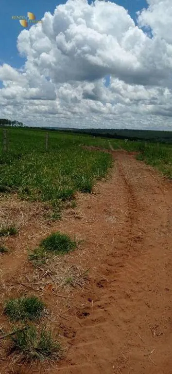 Fazenda à venda de 755 ha em Diamantino, MT, Brasil