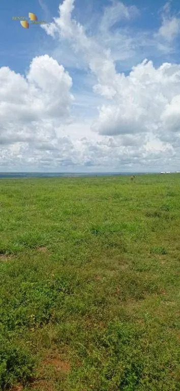 Fazenda à venda de 755 ha em Diamantino, MT, Brasil